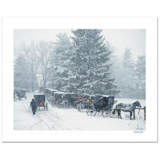 Auction in the Snow 