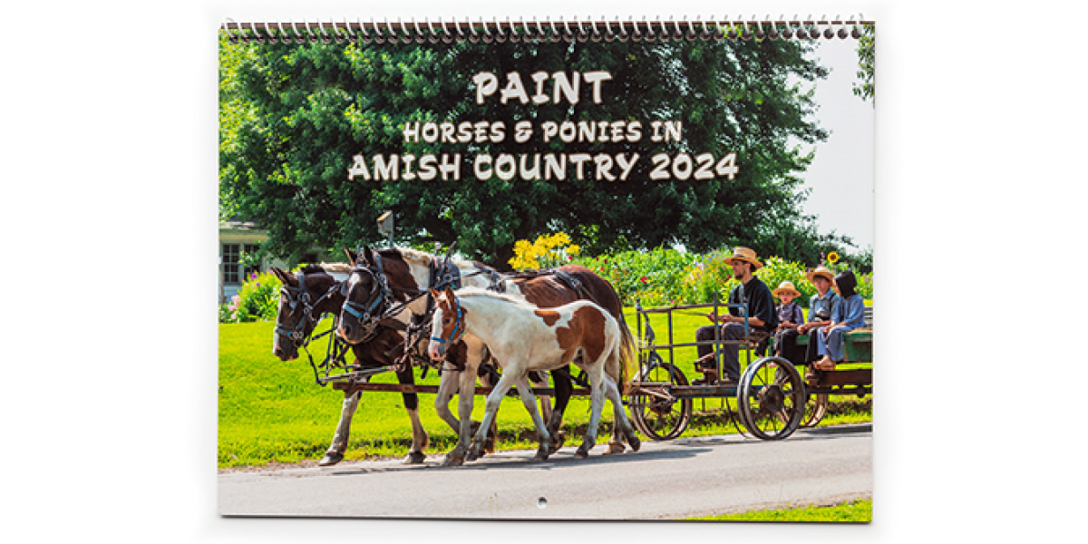 Paint Horses & Ponies in Amish Country 2024