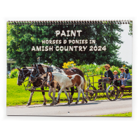 Paint Horses & Ponies in Amish Country 2024