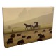 Canvas Prints