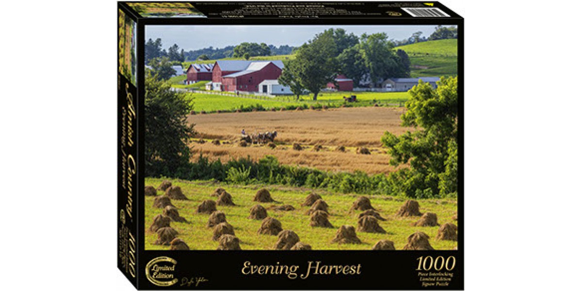 Evening Harvest
