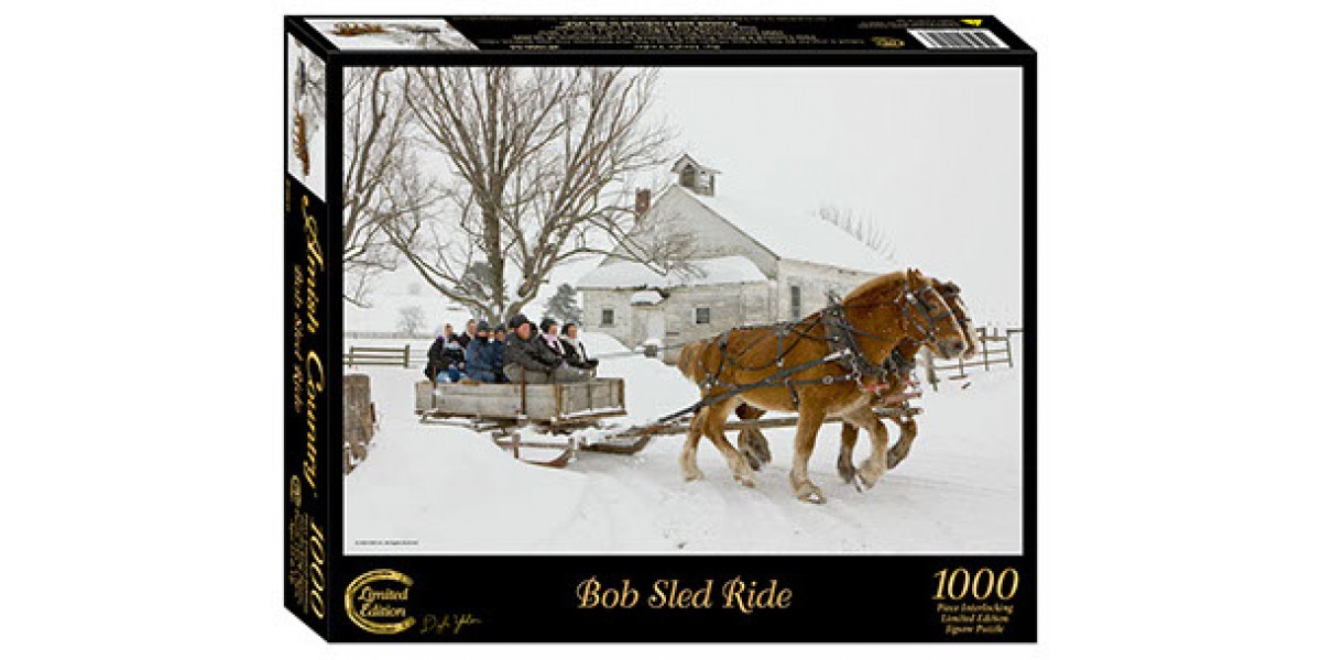 Bob Sled Ride