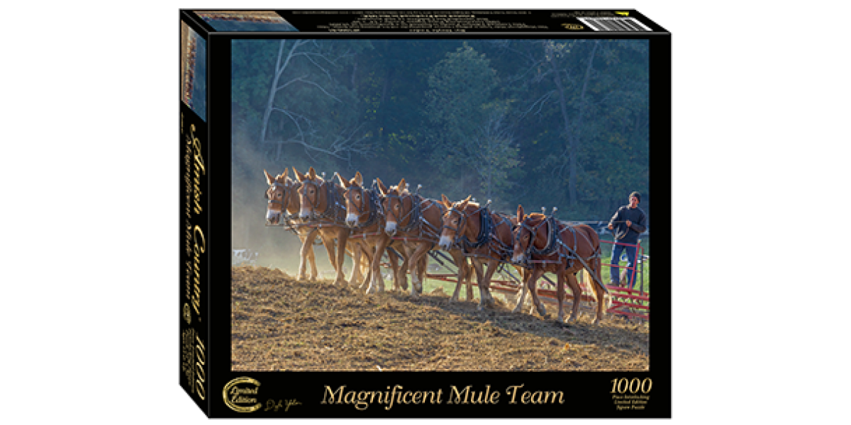 Magnificent Mule Team Magnificent Mule Team