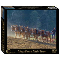 Magnificent Mule Team