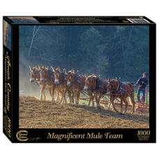 Magnificent Mule Team Magnificent Mule Team